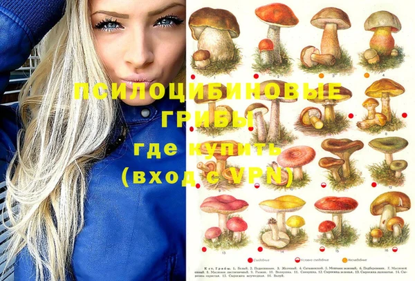 a pvp Сосновый Бор