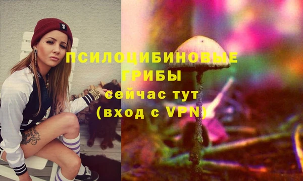 скорость Горно-Алтайск