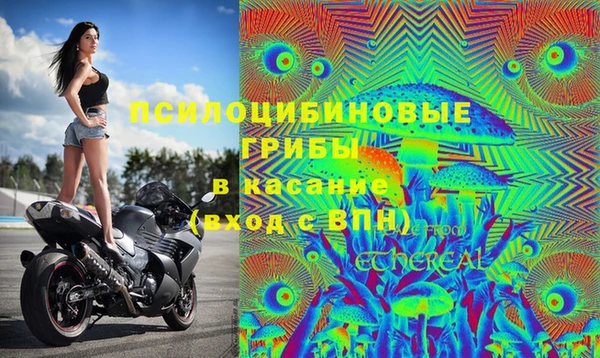 герыч Горняк