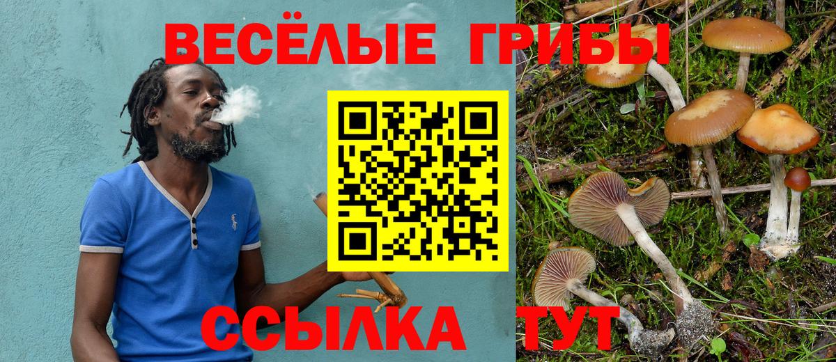 Буйнакск  Псилоцибиновые грибы мицелий  купить наркоту  Вход с VPN 
